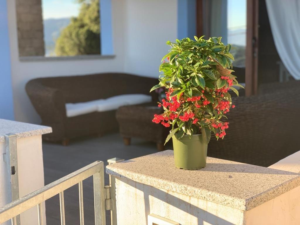 La Maison De La Mer Posada  Ngoại thất bức ảnh